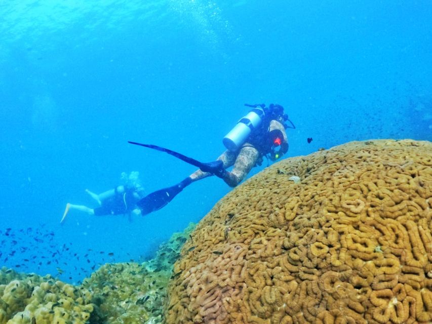 Phu Quoc: Scuba Diving Experience for All Levels - Conditions, comfort, and safety