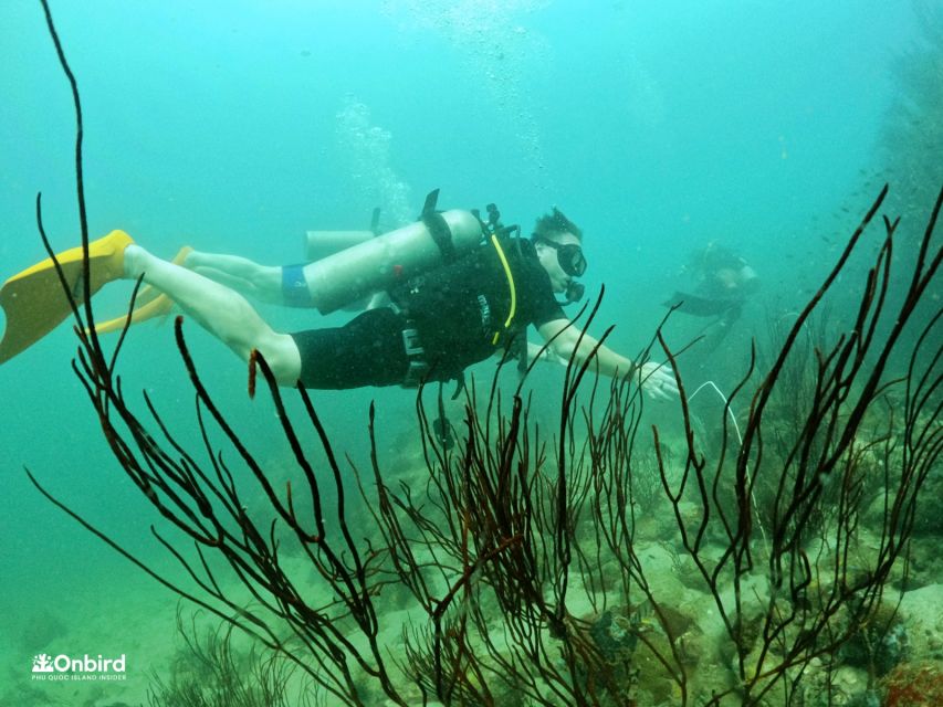 Phu Quoc: Scuba Diving Experience for All Levels - Who should choose this Phu Quoc scuba trip