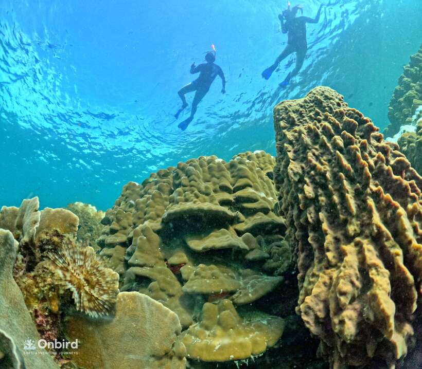 Phu Quoc: Speed Boat Tour 4 Islands - 2 Reefs Snorkeling - Four islands, but not four major sightseeing stops