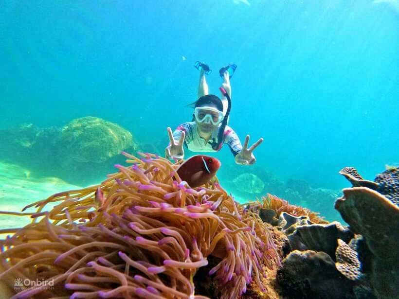 Phu Quoc: Speed Boat Tour 4 Islands - 2 Reefs Snorkeling - Who will enjoy this trip most