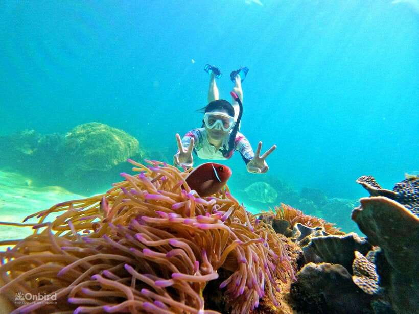 Phu Quoc: Speed Boat Tour 4 Islands - 2 Reefs Snorkeling - The shallow-water lesson is more useful than it sounds