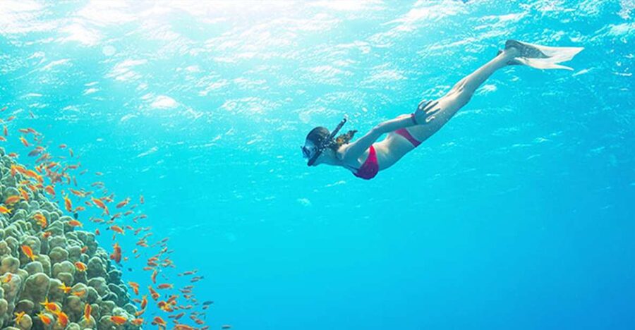 Phu Quoc: Speedboat Tour of 4 Islands with Snorkeling & BBQ - Key points at a glance