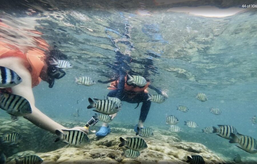 Phu Quoc: Speedboat Tour of 4 Islands with Snorkeling & BBQ - What to bring for a more comfortable day