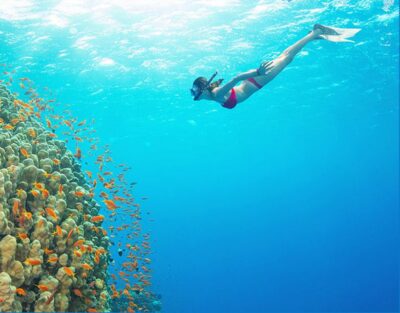 Speedboat Tour of 4 Islands with Snorkeling & BBQ