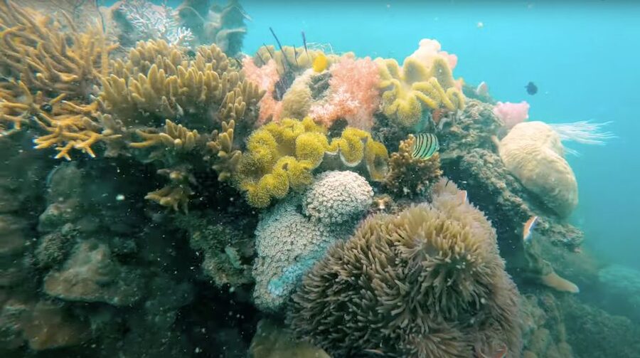 Phu Quoc: Speedboat Tour of 4 Islands with Snorkeling & BBQ - What the $56 price really includes