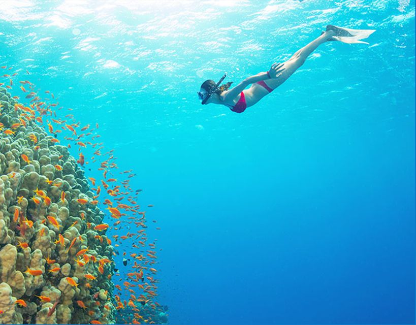 Phu Quoc: Speedboat Tour of 4 Islands with Snorkeling & BBQ - Kim Quy Island starts the underwater portion