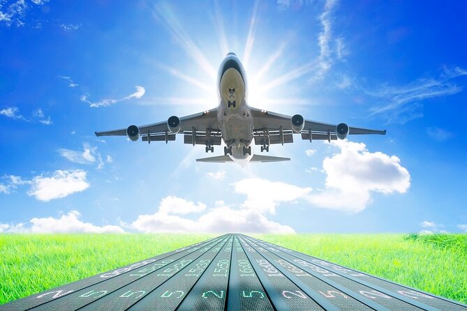 Private Arrival Transfer: Tan Son Nhat Airport to Ho Chi Minh City Hotels - Waiting through delays, immigration, and baggage claim