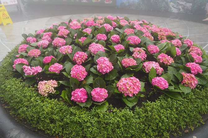 Private car and cable car ticket to the Ba Na hills and Golden Bridge - Gardens, wine cellar, and Linh Ung Pagoda