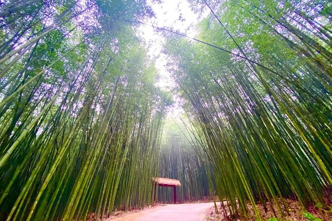 Private Car and Tour Guide Exploring Northern Vietnam - Cao Bang Geopark and the road from Hanoi