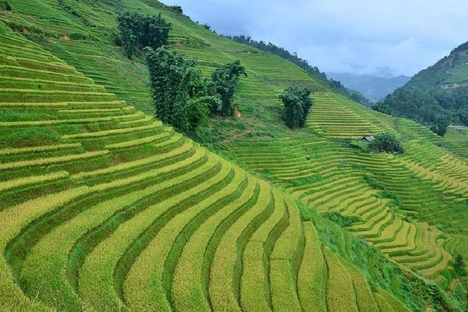 Private Car and Tour Guide Exploring Northern Vietnam - Phia Oac Mountain and the bamboo forest