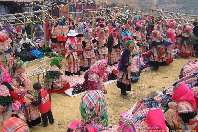 Private Car and Tour Guide Exploring Northern Vietnam - Ba Be Lake, Ha Giang, and Dong Van options