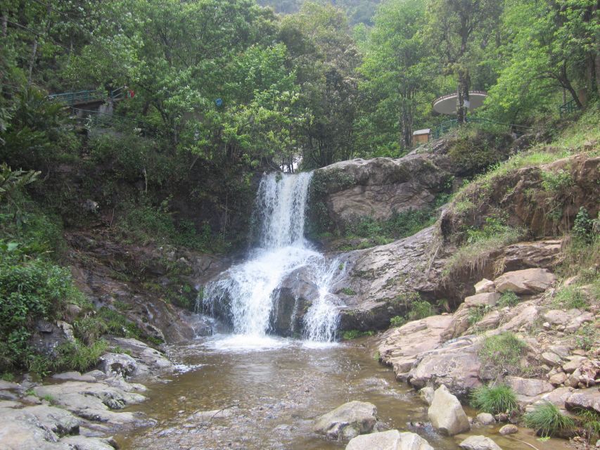Private Hoang Lien National Park & Tribal Village Trek - A 10-kilometer walk through Hoang Lien National Park