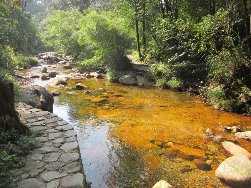 Private Hoang Lien National Park & Tribal Village Trek - Picnic lunch in the wilderness
