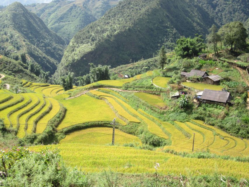 Private Hoang Lien National Park & Tribal Village Trek - Sin Chai and Black Hmong village life