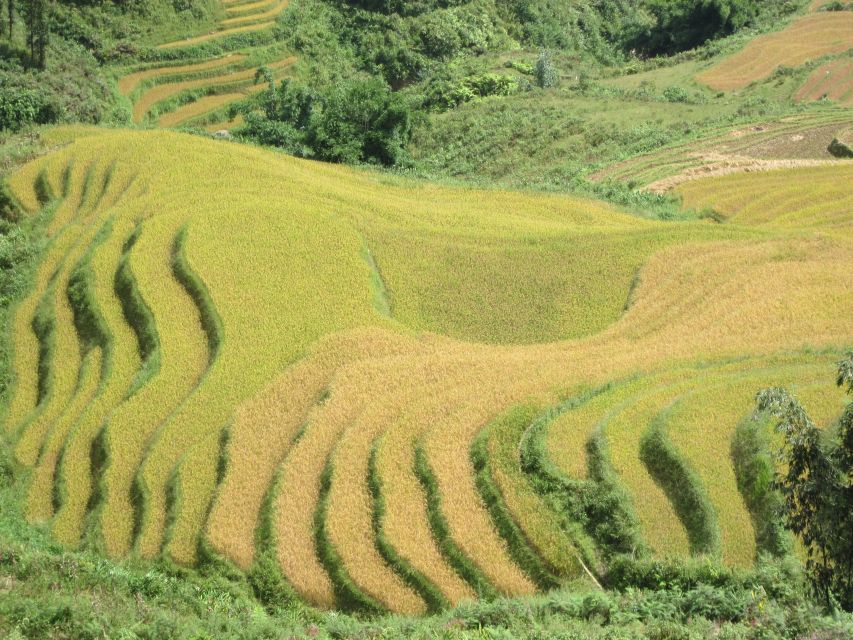 Private Hoang Lien National Park & Tribal Village Trek - Why the private format matters