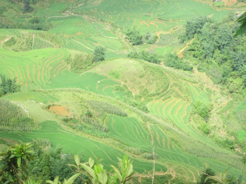 Private Hoang Lien National Park & Tribal Village Trek - Who should book this Sa Pa trek