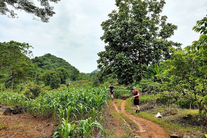 Private Transfers Ha Giang <=> Sapa One Way (Free Hotel Pickup) - The driver and the language question