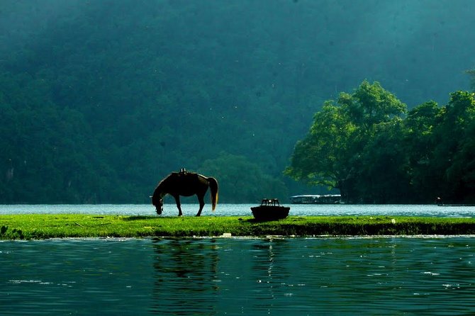 Private transfers HALONG <=> SAPA One Way (Free Hotel Pickup) - Pickup at a cruise port, hotel, or homestay