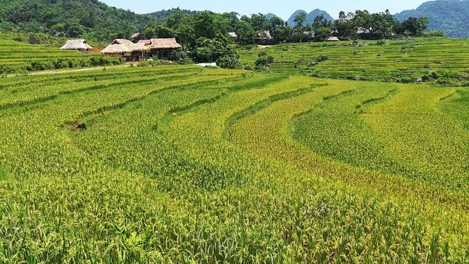 Private transfers Hanoi <=> Puluong 1 Way (Free Hotel Pickup) - Is $89 good value for three people?