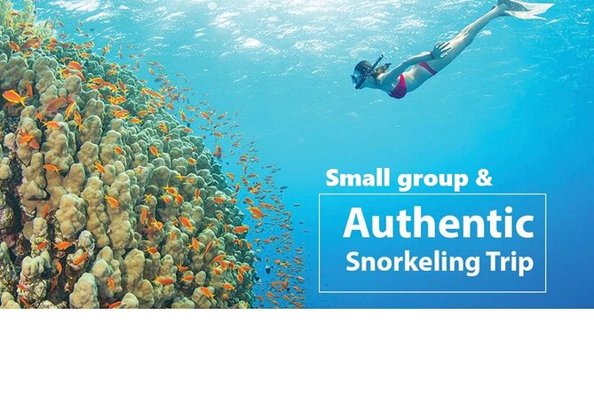 REAL snorkel &island hopping by SPEEDBOAT-EXPLORE CUISINES(MAX12) - Kim Quy Island starts the underwater portion