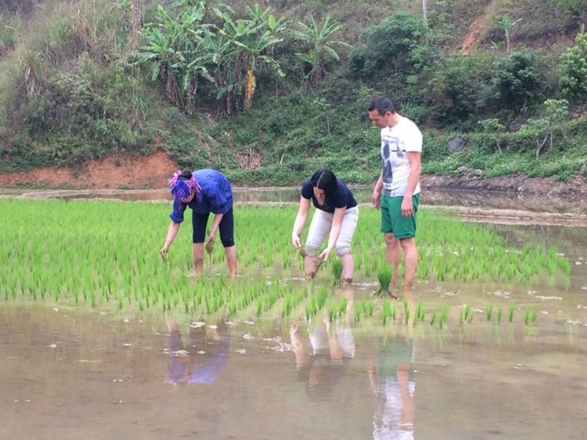 Sa Pa: 6-Hours Muong Hoa Valley Trek with Local Ethnic guide - Key Points to Know Before You Go