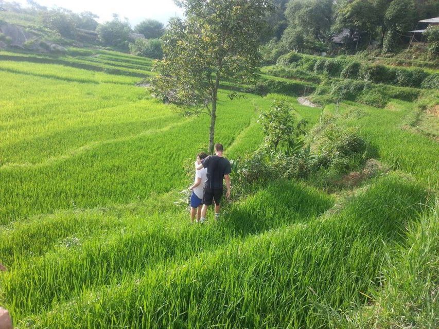 Sa Pa: 6-Hours Muong Hoa Valley Trek with Local Ethnic guide - Best Time to Take the Trek
