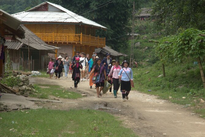 Sa Pa Full Day Trekking Tour - Guide quality, group size, and pace