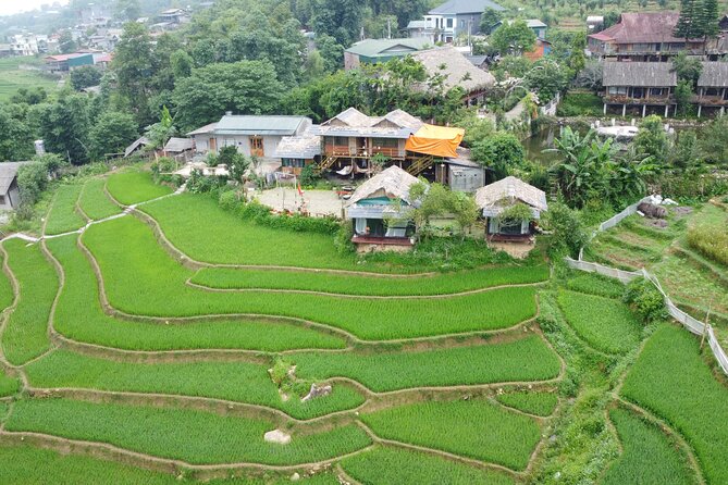 Sa Pa Full Day Trekking Tour - 8:00 am: Leaving Sapa for Y Linh Ho