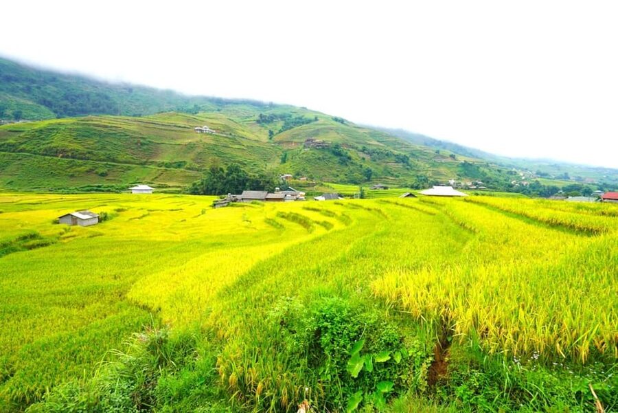 Sa Pa: Half-Day Cat Cat Village Hike to Meet H'mong People - What to pack for the 2.5-kilometer route