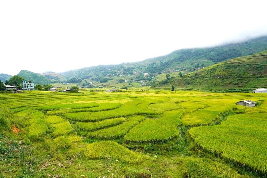 Sa Pa: Half-Day Cat Cat Village Hike to Meet H'mong People - How much value do you get for $17?