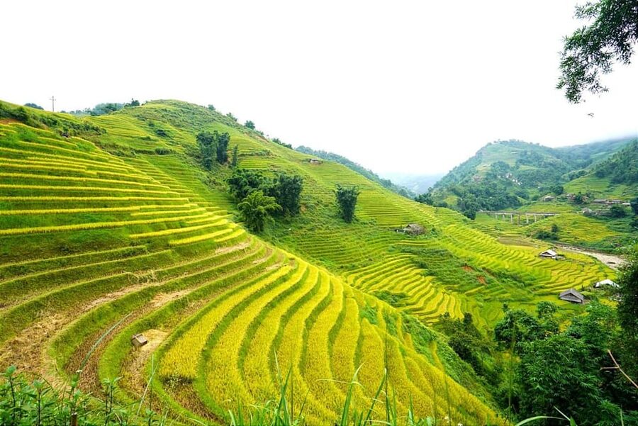 Sa Pa: Half-Day Cat Cat Village Hike to Meet H'mong People - Who will enjoy this outing most?