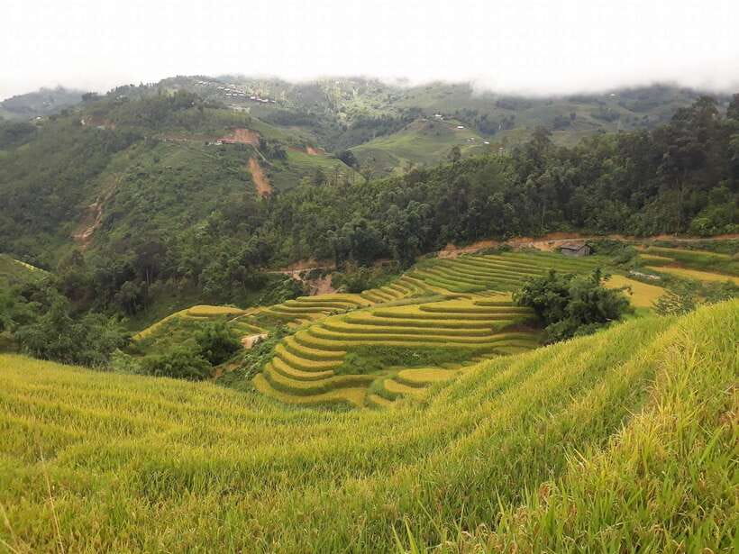 Sa Pa: Muong Hoa Valley Trek and Local Ethnic Villages - What the Muong Hoa Valley trek is really like