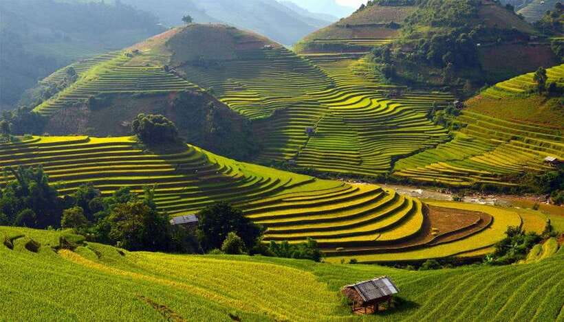 Sa Pa: Muong Hoa Valley Trek and Local Ethnic Villages - Ta Van Giay, the river path, and ancient carvings