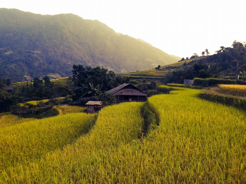 Sa Pa: Muong Hoa Valley Trek and Local Ethnic Villages - Mud, helping hands, and the extra-cash question