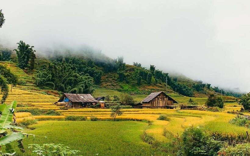 Sa Pa: Muong Hoa Valley Trek and Local Ethnic Villages - The guides make a real difference