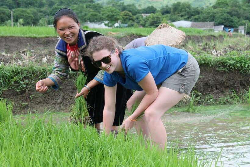 Sa Pa: Muong Hoa Valley Trek and Local Ethnic Villages - Misty terraces and the route to Lao Chai