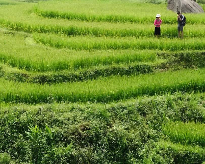 Sapa 1 Day Long Trek: Trek to Hau Thao and Sa Seng Villages - What $24 includes, and where the value sits