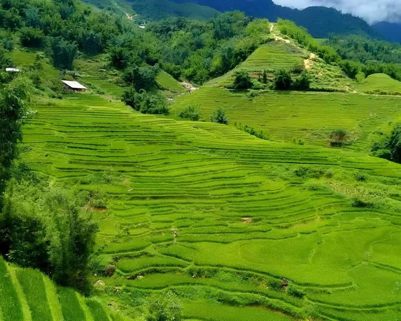 Sapa 1 Day Long Trek: Trek to Hau Thao and Sa Seng Villages - Who should book this walk?