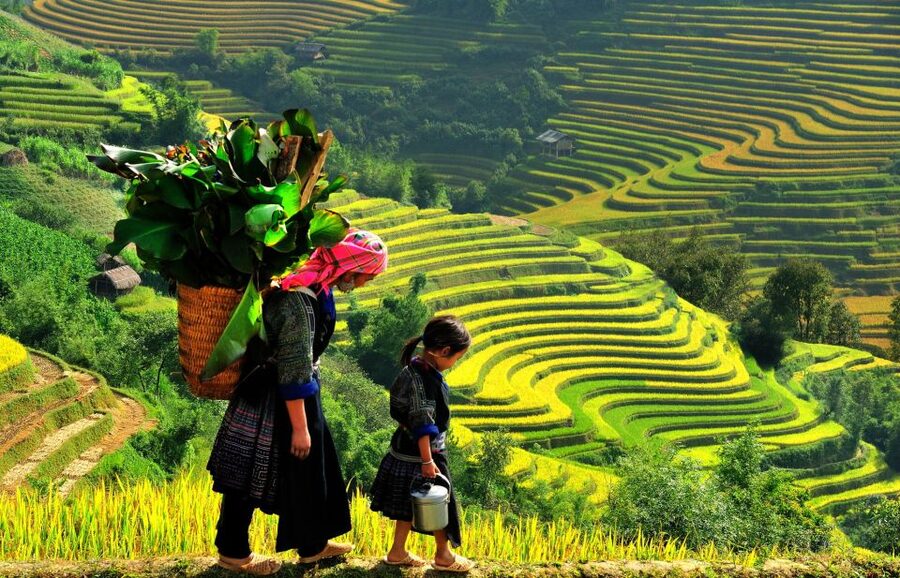 Sapa: 3-Day, 3-Night Trek and Hotel with Overnight Train - At a glance: what makes this Sapa trip useful