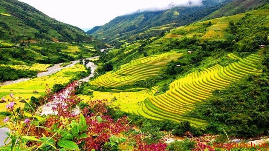 Sapa: 3-Day, 3-Night Trek and Hotel with Overnight Train - Guides and group arrangements matter
