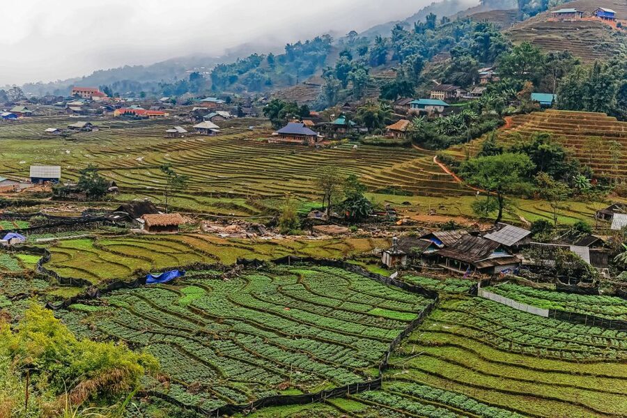 Sapa: 3-Day, 3-Night Trek and Hotel with Overnight Train - Sin Chai gives you a gentle first look at village life