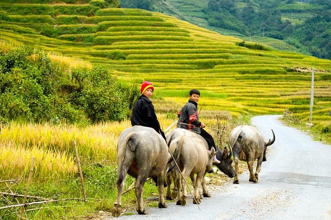 Sapa 3 Days 2 Nights Trekking Tour (1 Night In Ta Van Village, 1 Night In Hotel) - Leaving Hanoi for the mountains
