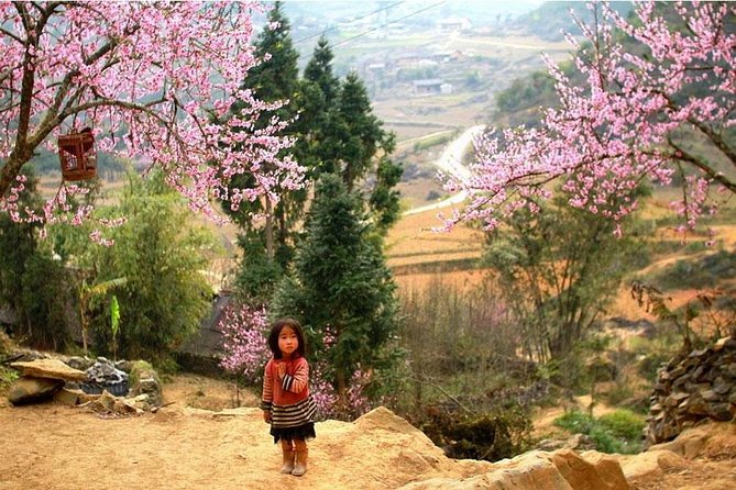 Sapa 3 Days 2 Nights Trekking Tour (1 Night In Ta Van Village, 1 Night In Hotel) - Is $139 a fair price?