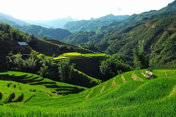 Sapa 3 Days 2 Nights Trekking Tour From Hanoi (2 Nights in Hotel) - Lunch and an easy afternoon in Sapa
