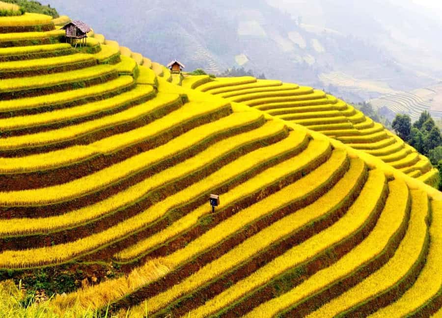 Sapa: Cat Cat Village, Moana, Alpine Coaster, Fansipan Cable - Is $33 a fair price for this Sa Pa tour?