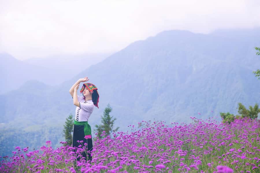 Sapa: Cat Cat Village, Moana, Alpine Coaster, Fansipan Cable - Who will enjoy this most?