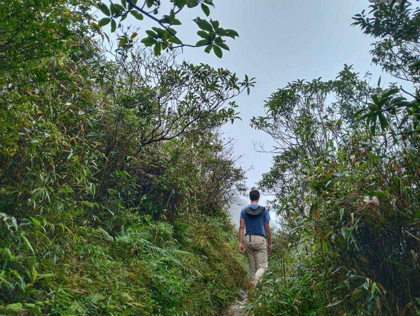 SAPA : Climb up to Fansipan mountain with LOCAL GUIDE - What the changing forest adds to the walk