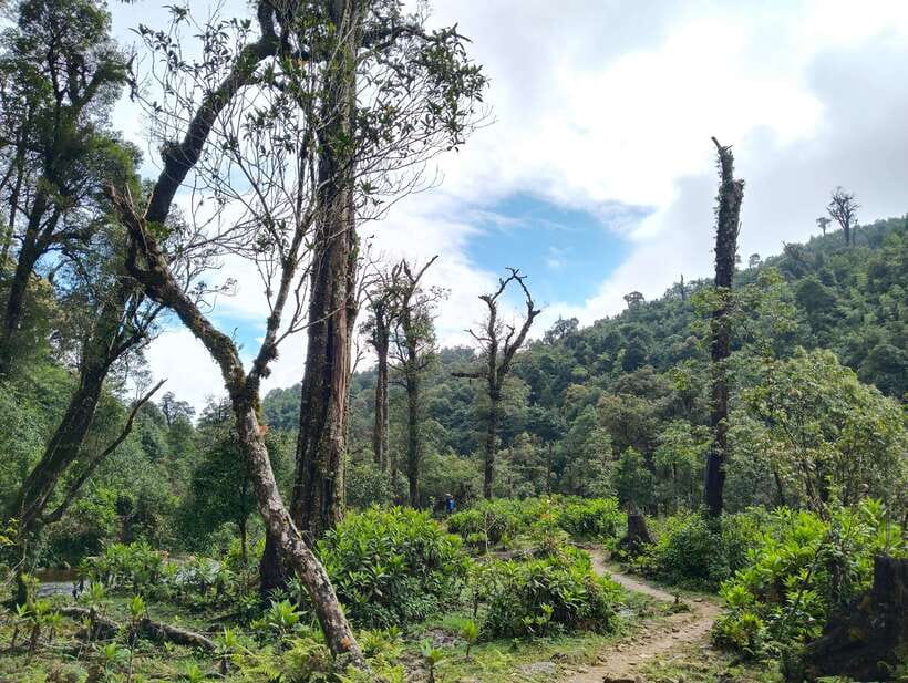 SAPA : Climb up to Fansipan mountain with LOCAL GUIDE - The early ride and the first hours on foot
