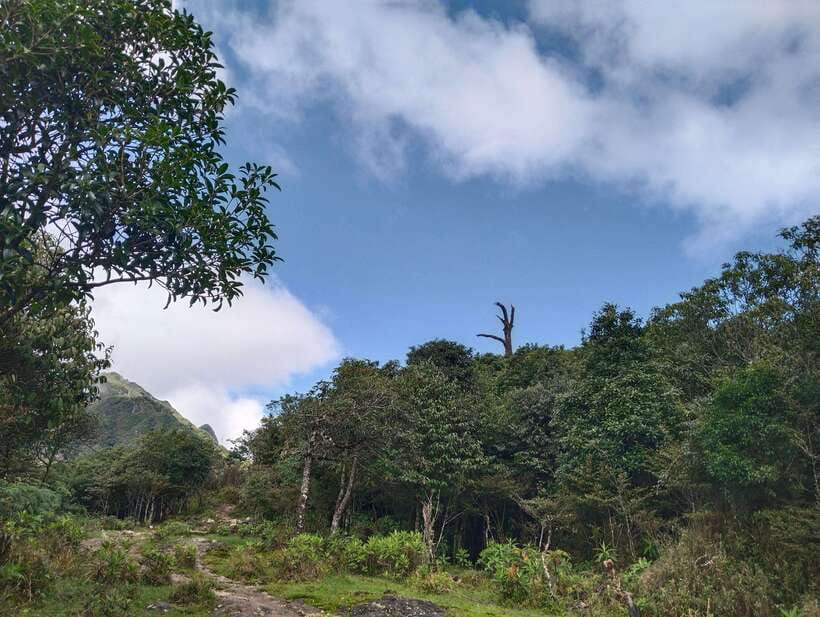 SAPA : Climb up to Fansipan mountain with LOCAL GUIDE - The final push to 3,143 meters