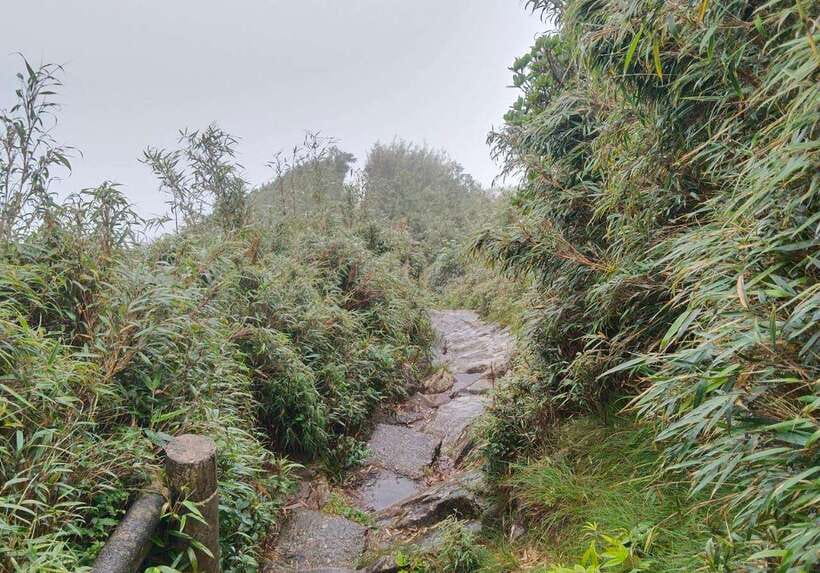 SAPA : Climb up to Fansipan mountain with LOCAL GUIDE - Descent on foot or cable car